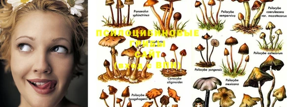 марки nbome Алексин